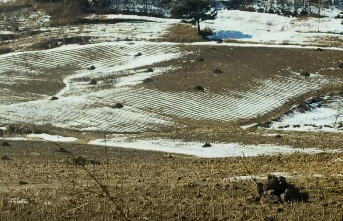 Screenshot 2025-03-31 121457.png