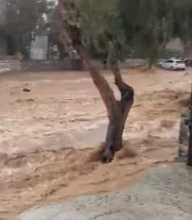 Screenshot 2025-03-31 214855.png