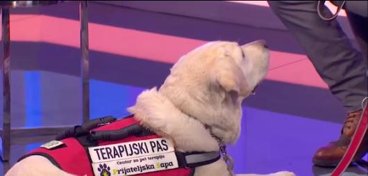 Tarapeutski pas 1.png