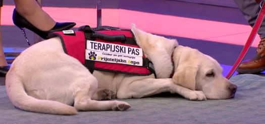 Tarapeutski pas 3.png