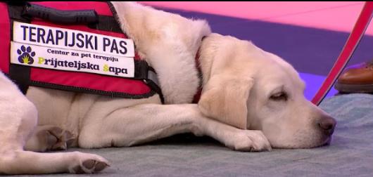 Tarapeutski pas 4.png