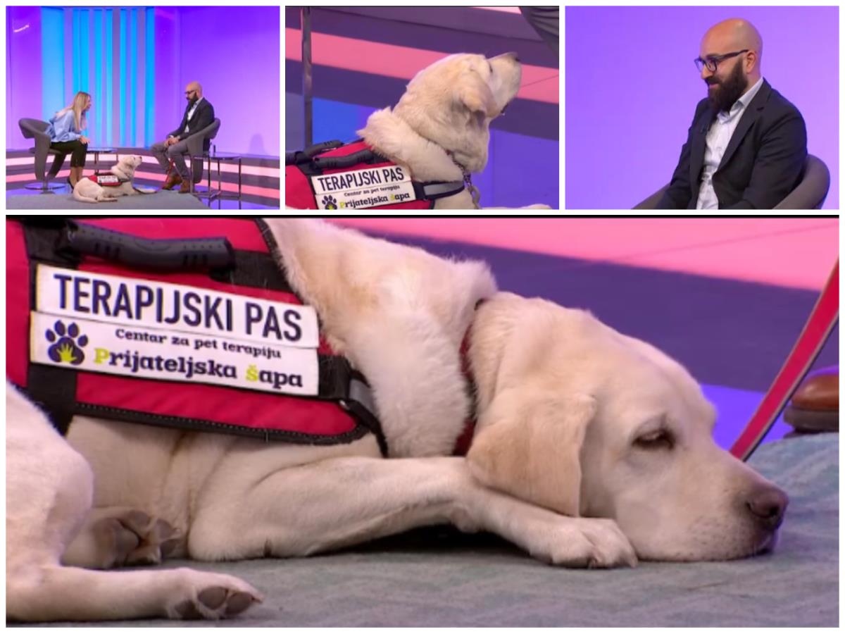 Tarapeutski pas 5.png