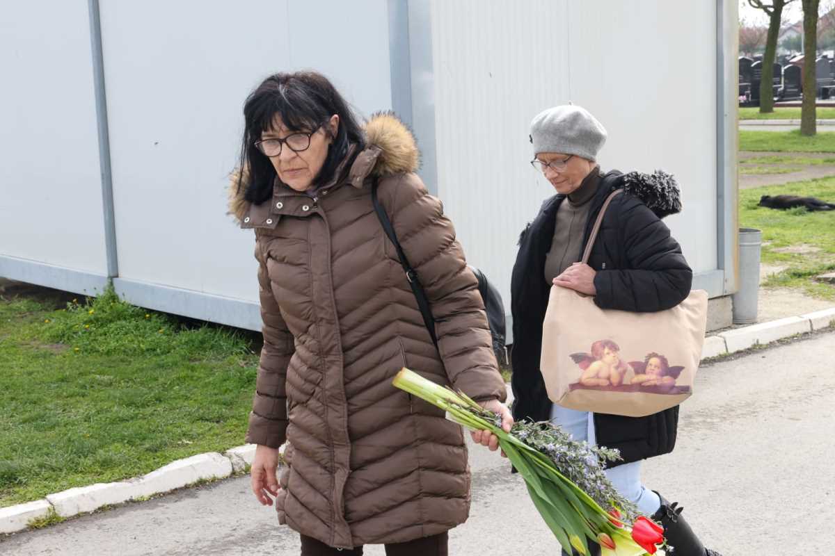 WhatsApp Image 2025-04-02 at 11.29.14 AM.jpeg