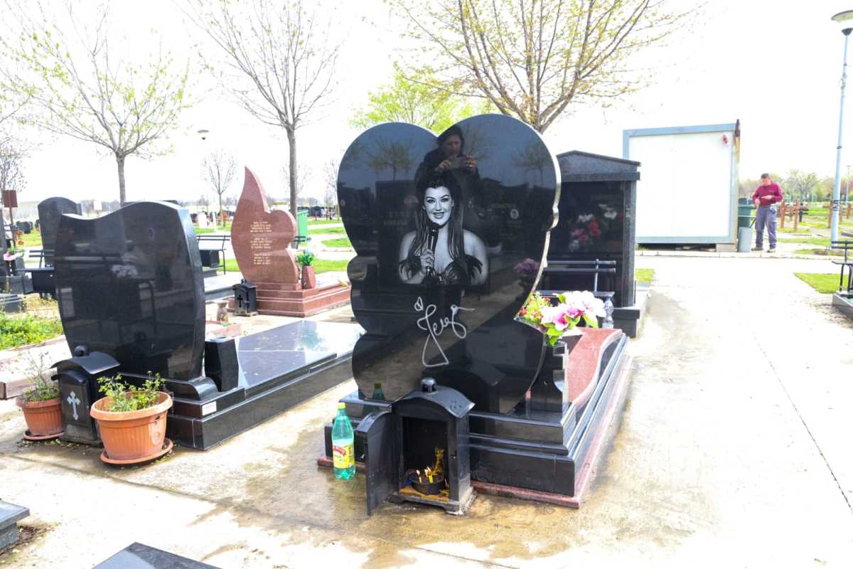 WhatsApp Image 2025-04-02 at 11.29.13 AM (2).jpeg