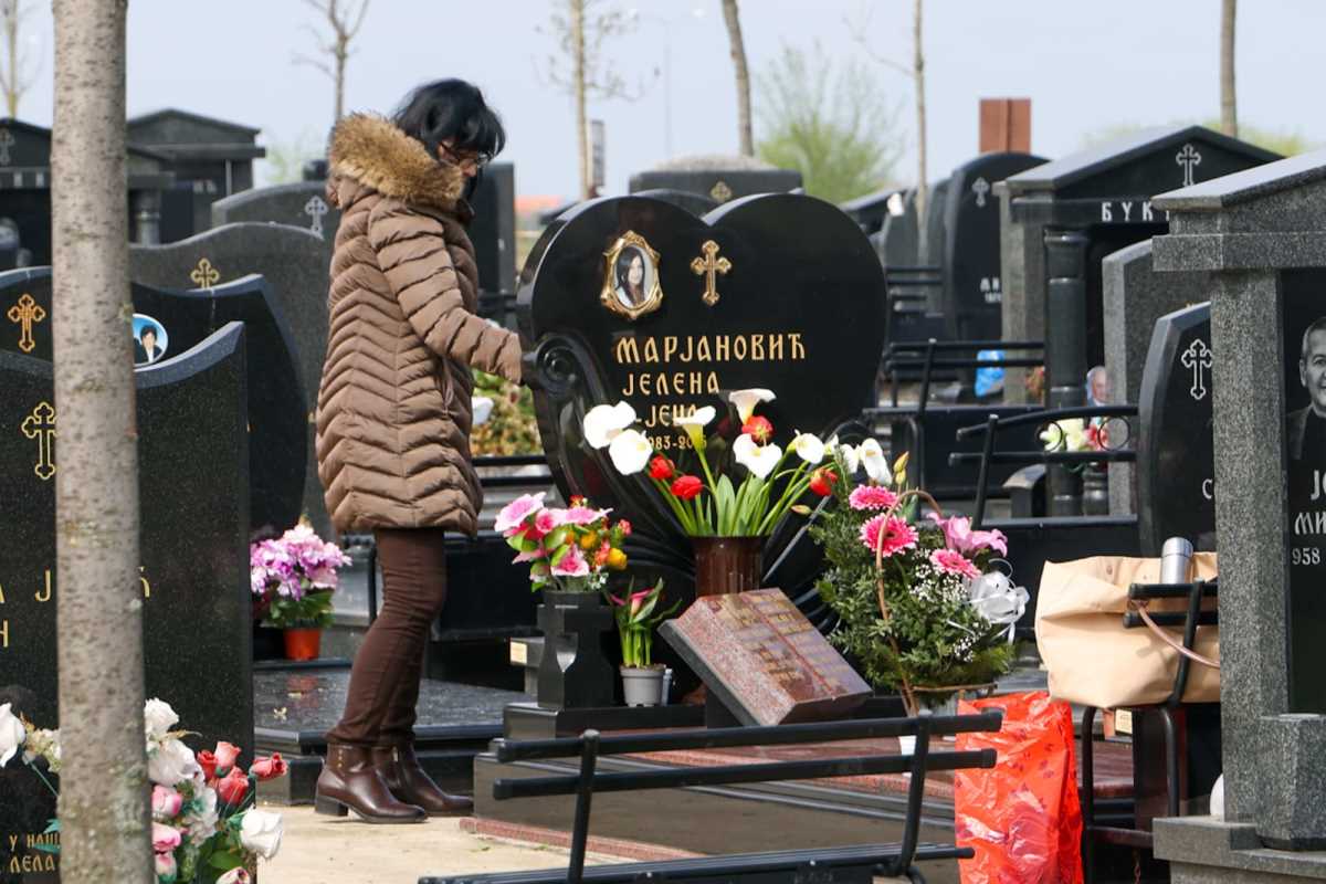 WhatsApp Image 2025-04-02 at 11.29.12 AM (2).jpeg