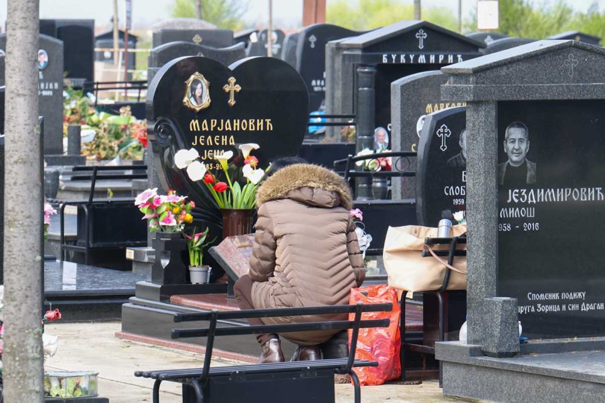 WhatsApp Image 2025-04-02 at 11.29.12 AM (1).jpeg