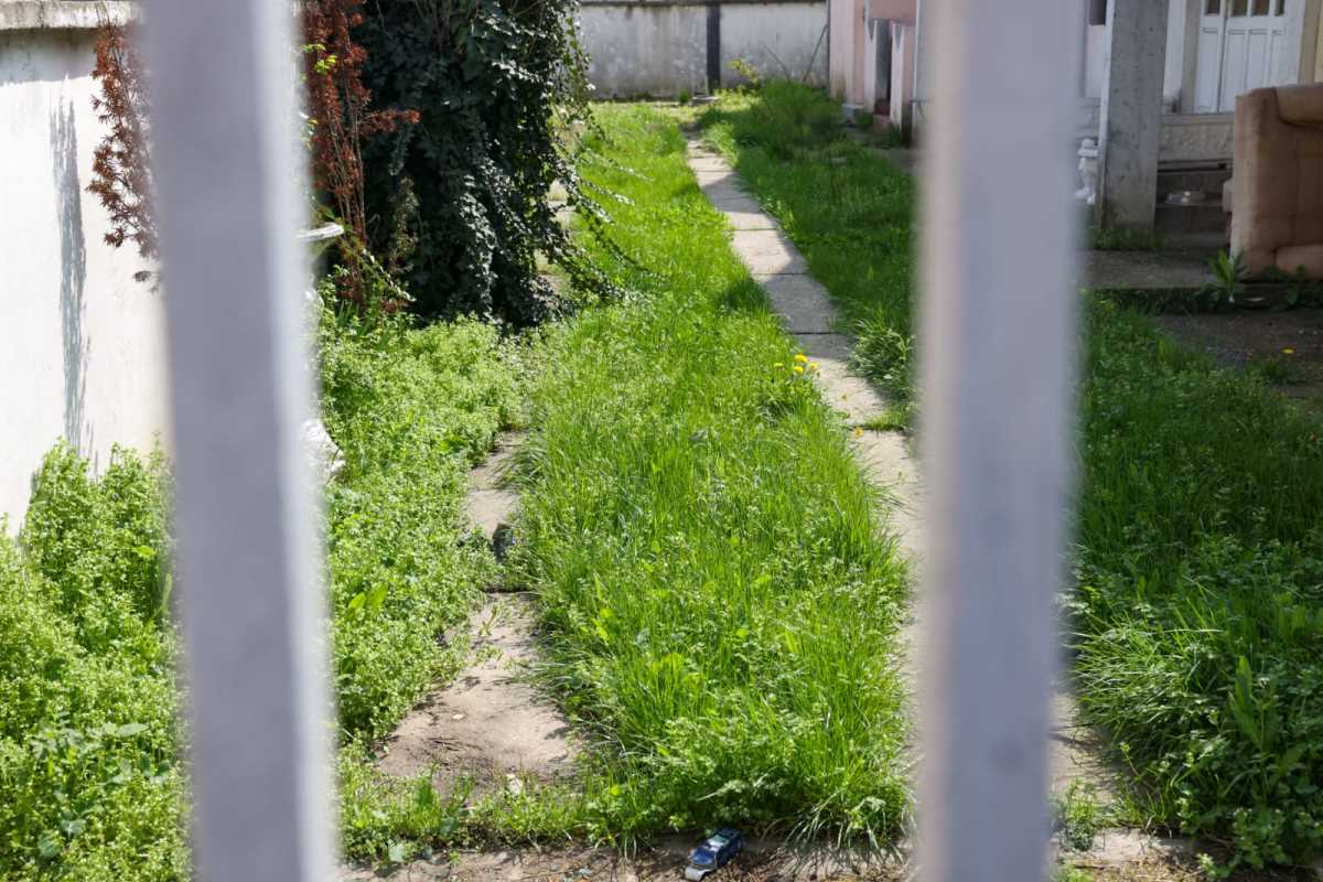 WhatsApp Image 2025-04-02 at 12.19.45 PM (1).jpeg