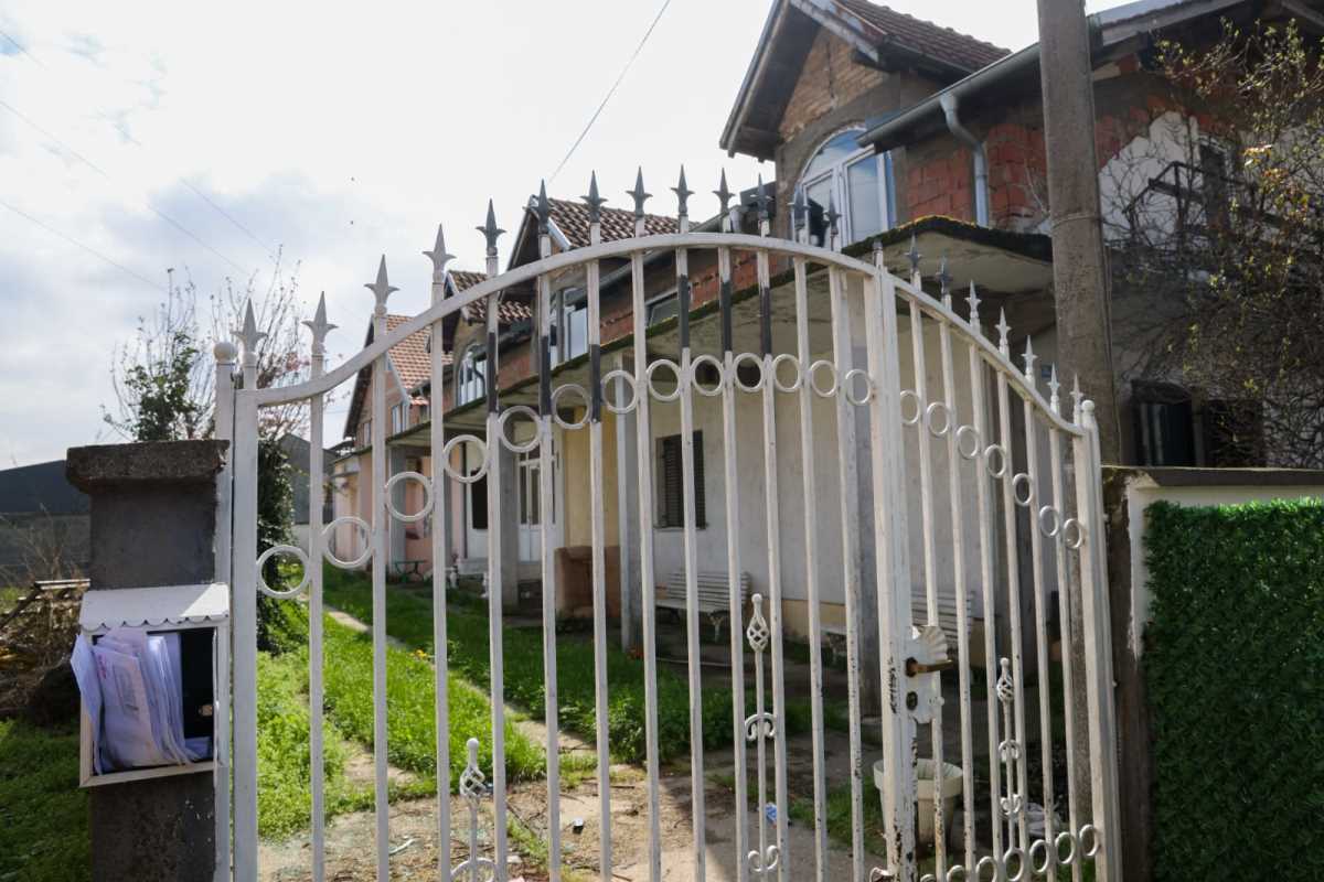 WhatsApp Image 2025-04-02 at 12.19.43 PM (2).jpeg