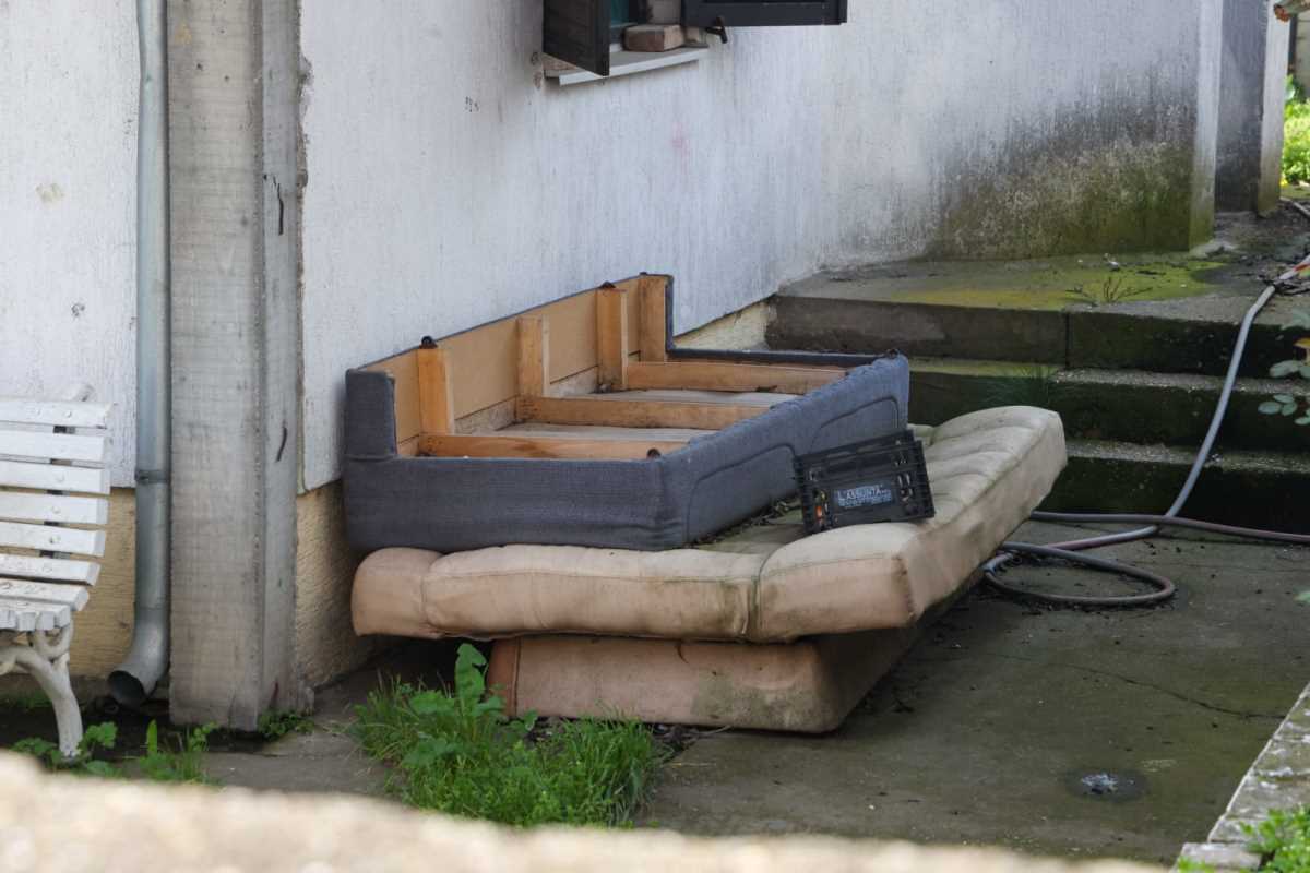 WhatsApp Image 2025-04-02 at 12.19.43 PM (1).jpeg