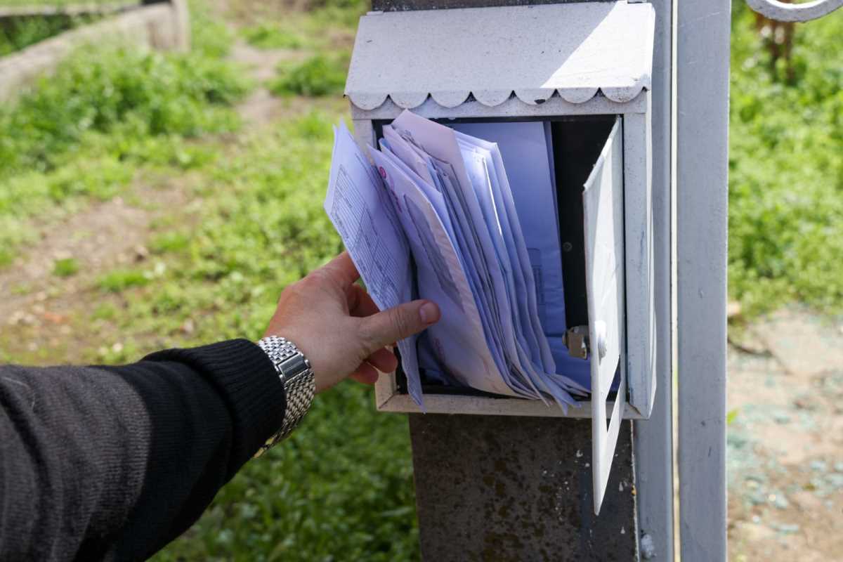 WhatsApp Image 2025-04-02 at 12.19.42 PM.jpeg