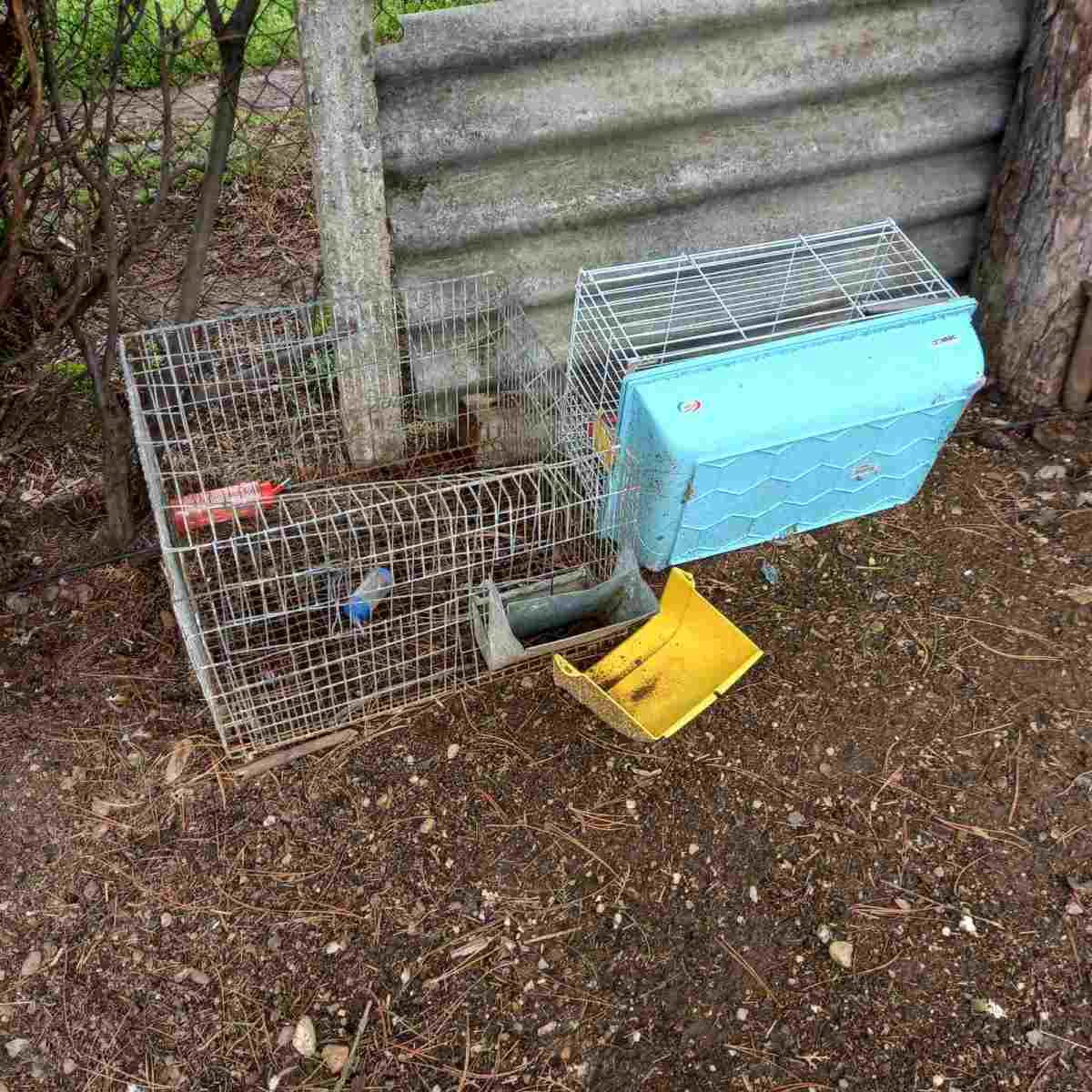 zoovrt pojeden kavez.jpg