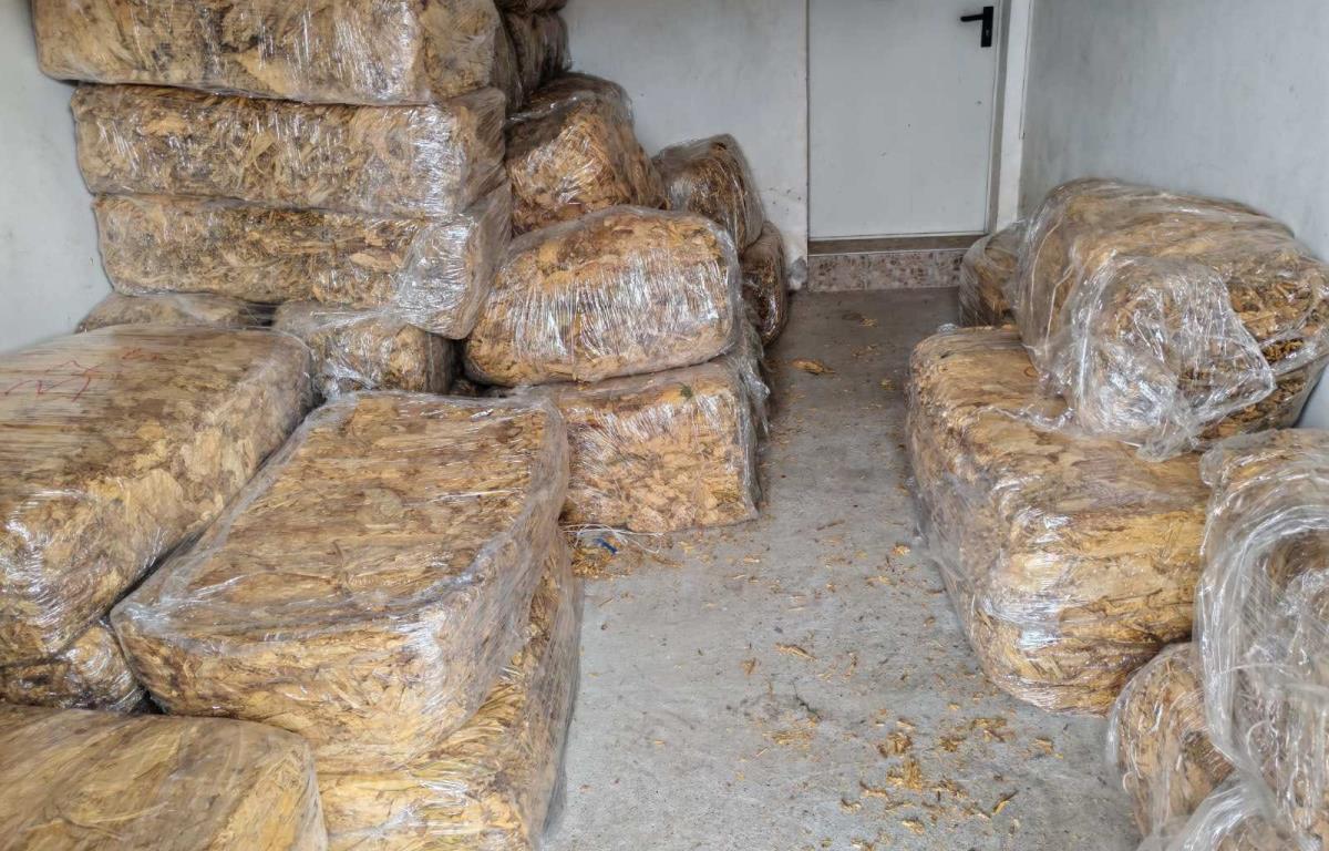 WhatsApp Image 2025-04-02 at 4.12.58 PM (1).jpeg