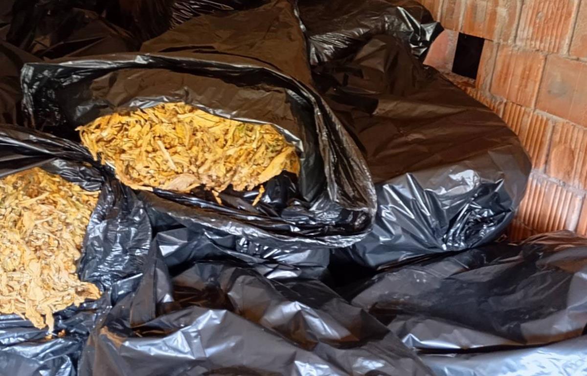 WhatsApp Image 2025-04-02 at 4.12.57 PM (1).jpeg