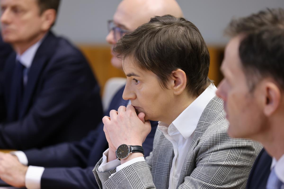 WhatsApp Image 2025-04-03 at 12.19.06 PM.jpeg