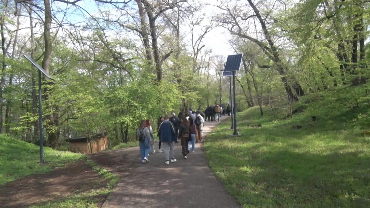 puls clean.01_15_36_14.Still011.jpg