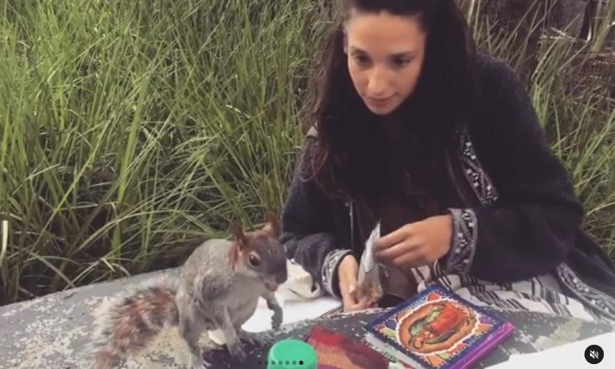 Screenshot 2025-04-04 093609.png