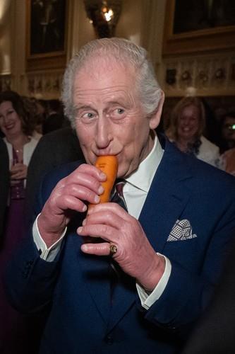 kralj čarls svira u šargarepu profimedia-0983249775.jpg