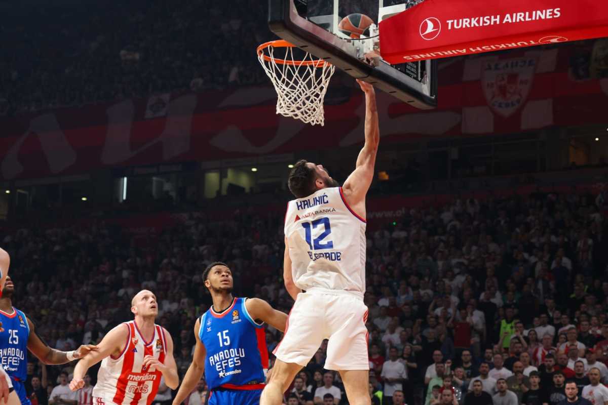 WhatsApp Image 2025-04-04 at 8.23.27 PM (1).jpeg