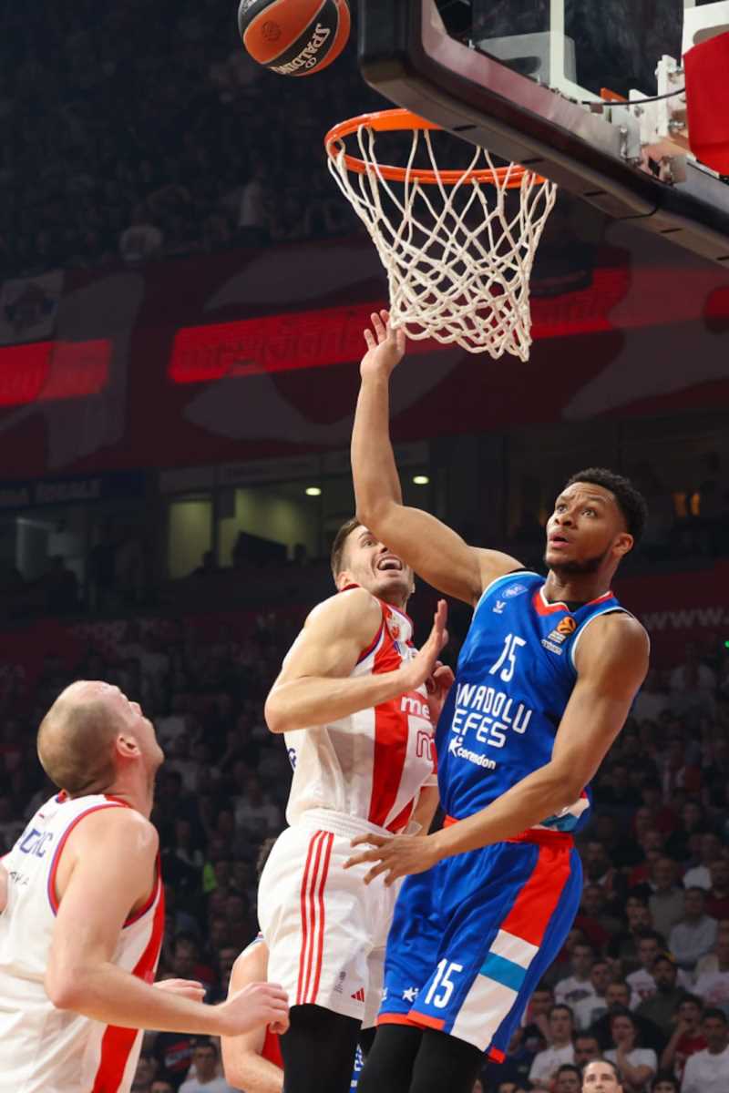 WhatsApp Image 2025-04-04 at 8.23.27 PM.jpeg