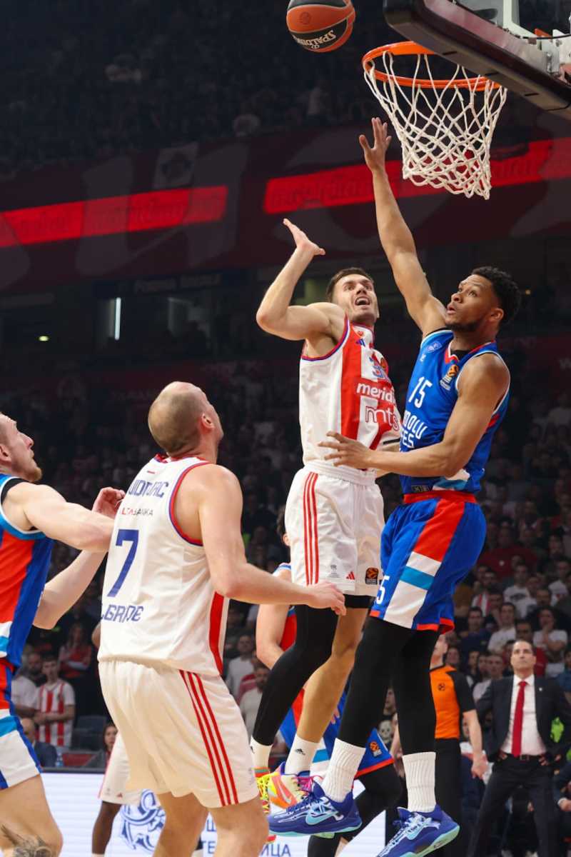 WhatsApp Image 2025-04-04 at 8.23.26 PM (1).jpeg