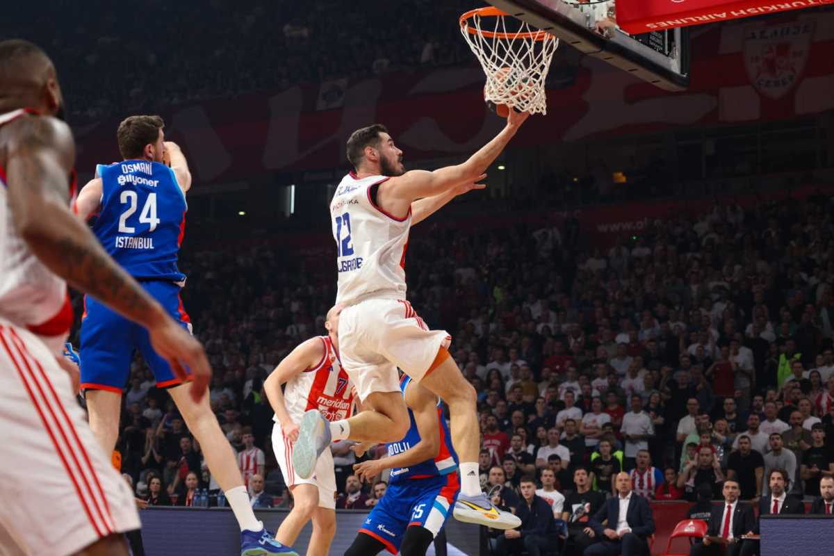 WhatsApp Image 2025-04-04 at 8.23.25 PM (1).jpeg