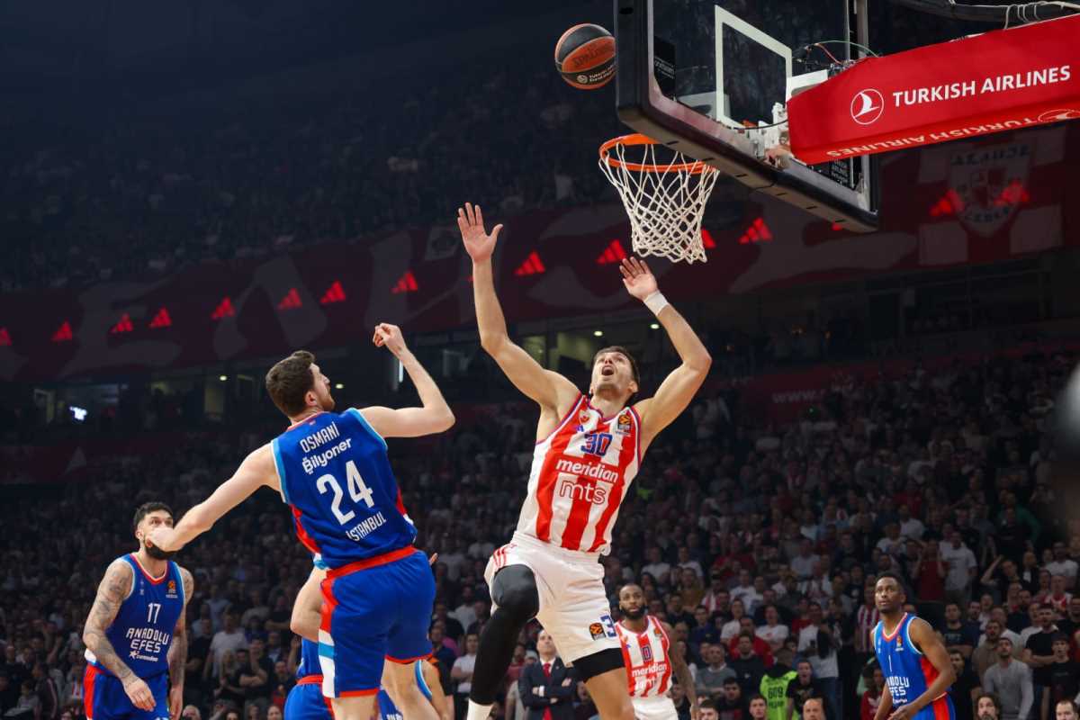 WhatsApp Image 2025-04-04 at 8.12.21 PM.jpeg