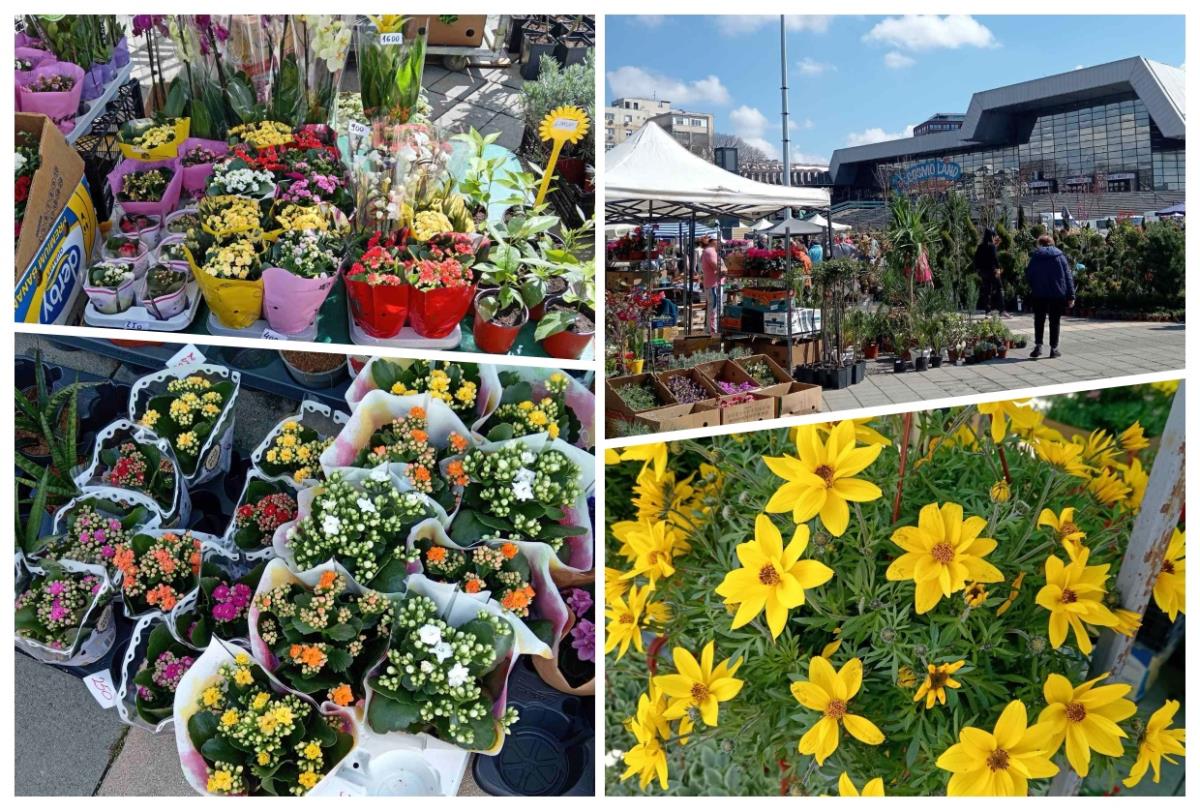 Prva prolećna cvetna pijaca.jpg