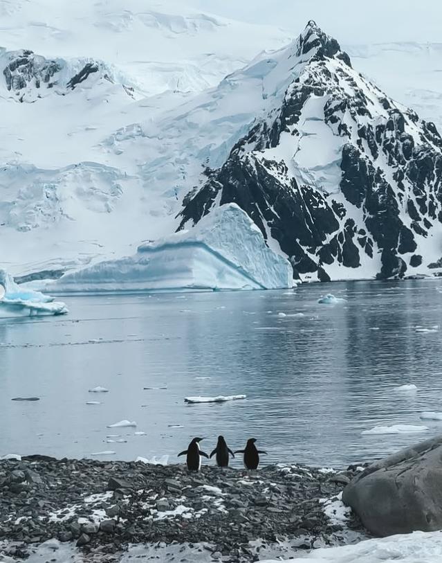 vana bojović 11.png