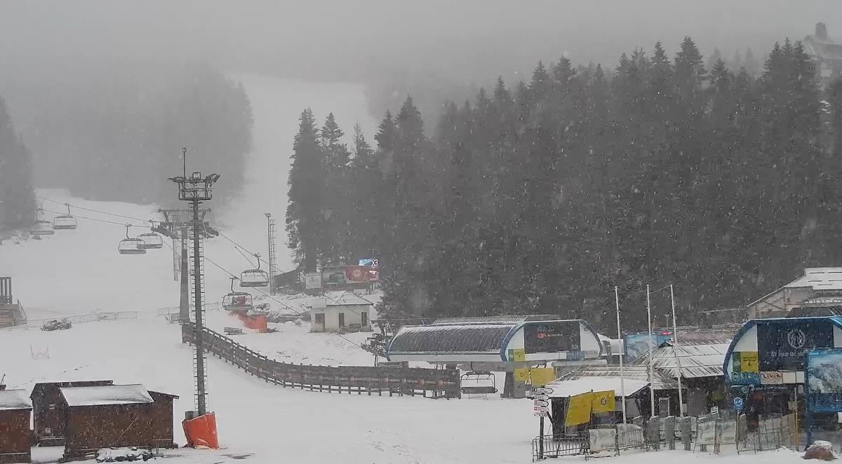 Screenshot 2025-04-06 071444.jpg