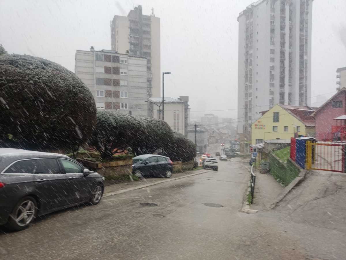 WhatsApp Image 2025-04-06 at 07.43.37_5bacf9fe.jpg