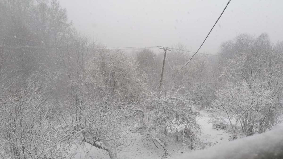 WhatsApp Image 2025-04-06 at 08.24.40_6f31e898.jpg