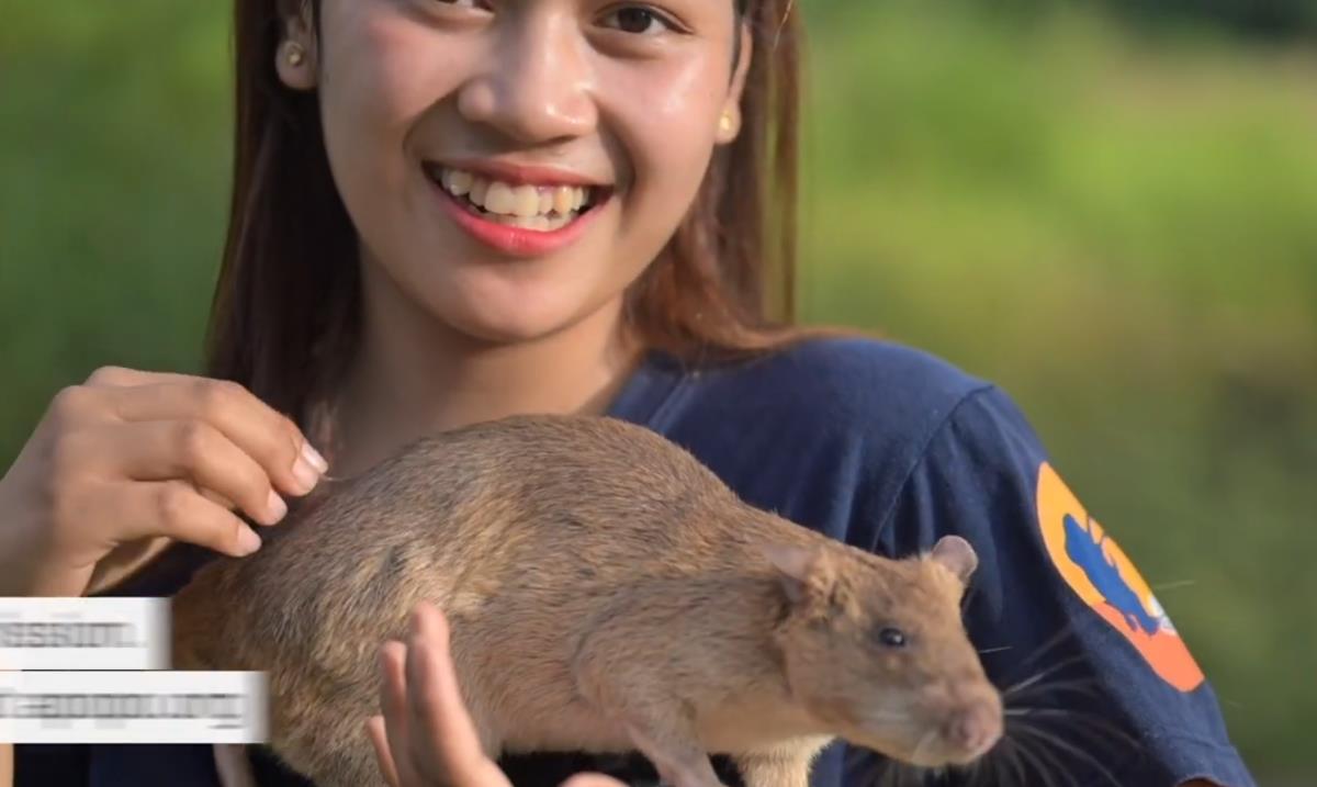 Screenshot 2025-04-06 092821.png