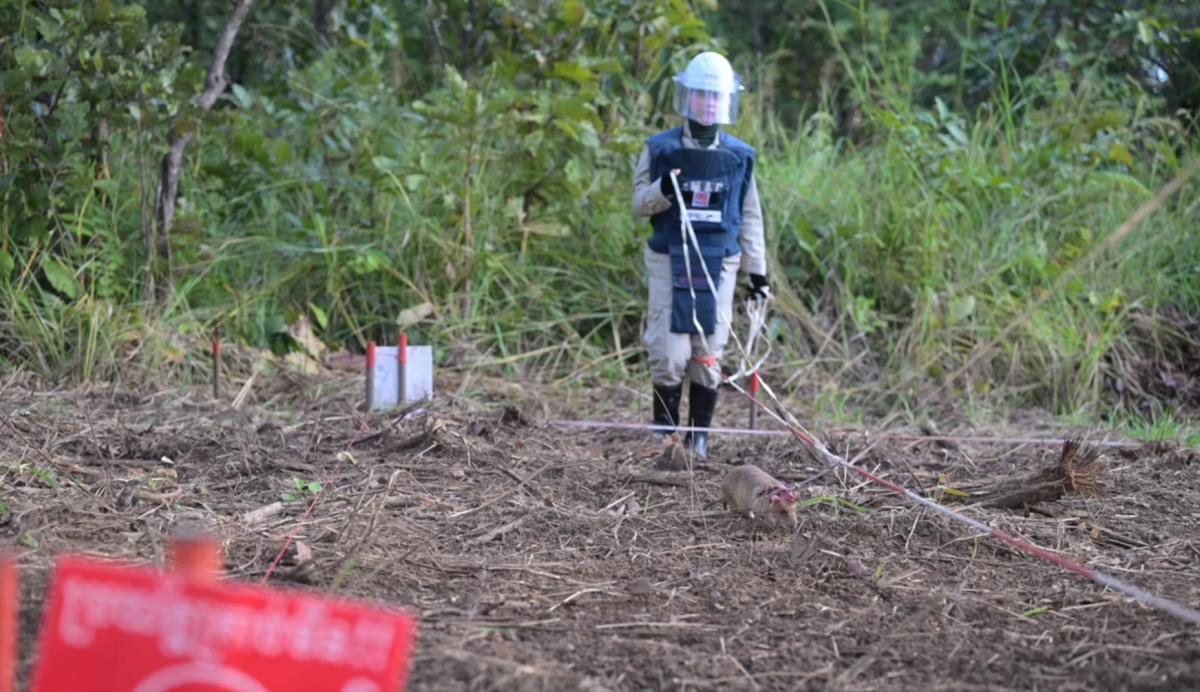 Screenshot 2025-04-06 092752.png