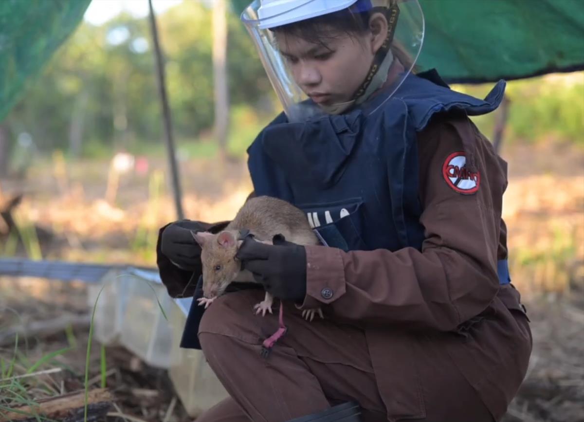 Screenshot 2025-04-06 092721.jpg