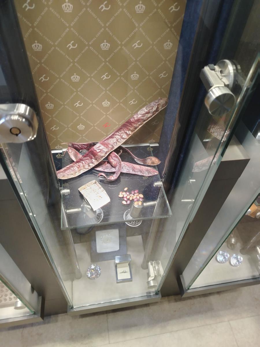 0601 jelena spasic_9.jpg