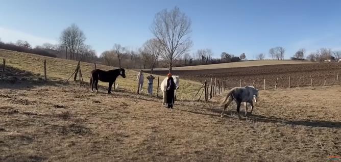 Nana Šonenberger 1.jpg