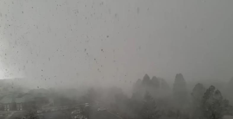 Screenshot 2025-04-07 173112.png