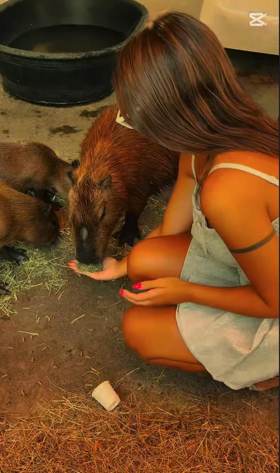 Screenshot 2025-04-08 104208.png