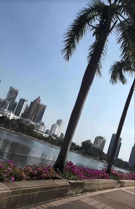 Screenshot 2025-04-08 104818.png