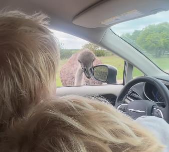 Boris Džonson 5.jpg