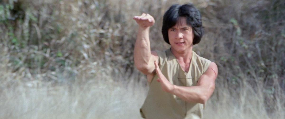 Džeki Čen je smatran naslednikom Brus Lija