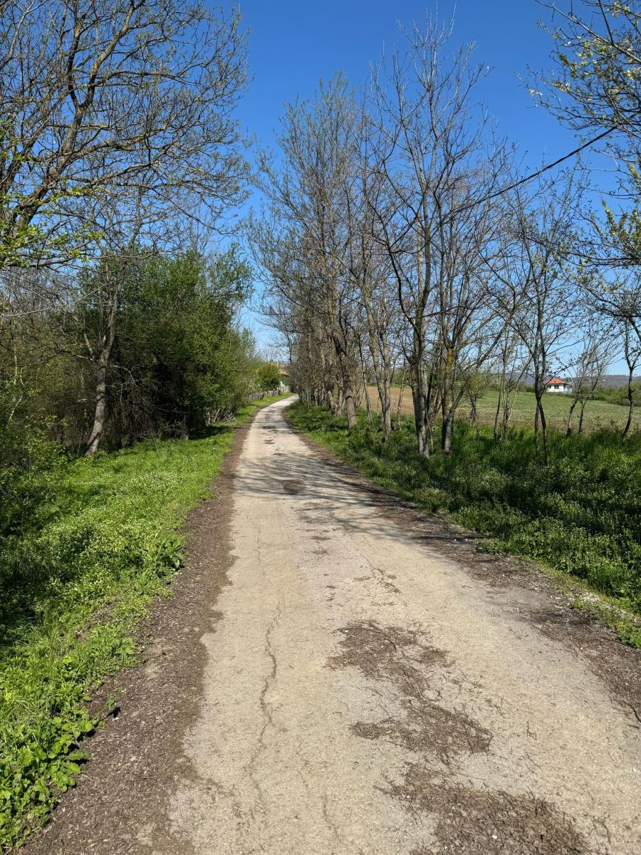 WhatsApp Image 2025-04-09 at 11.40.58 AM.jpeg