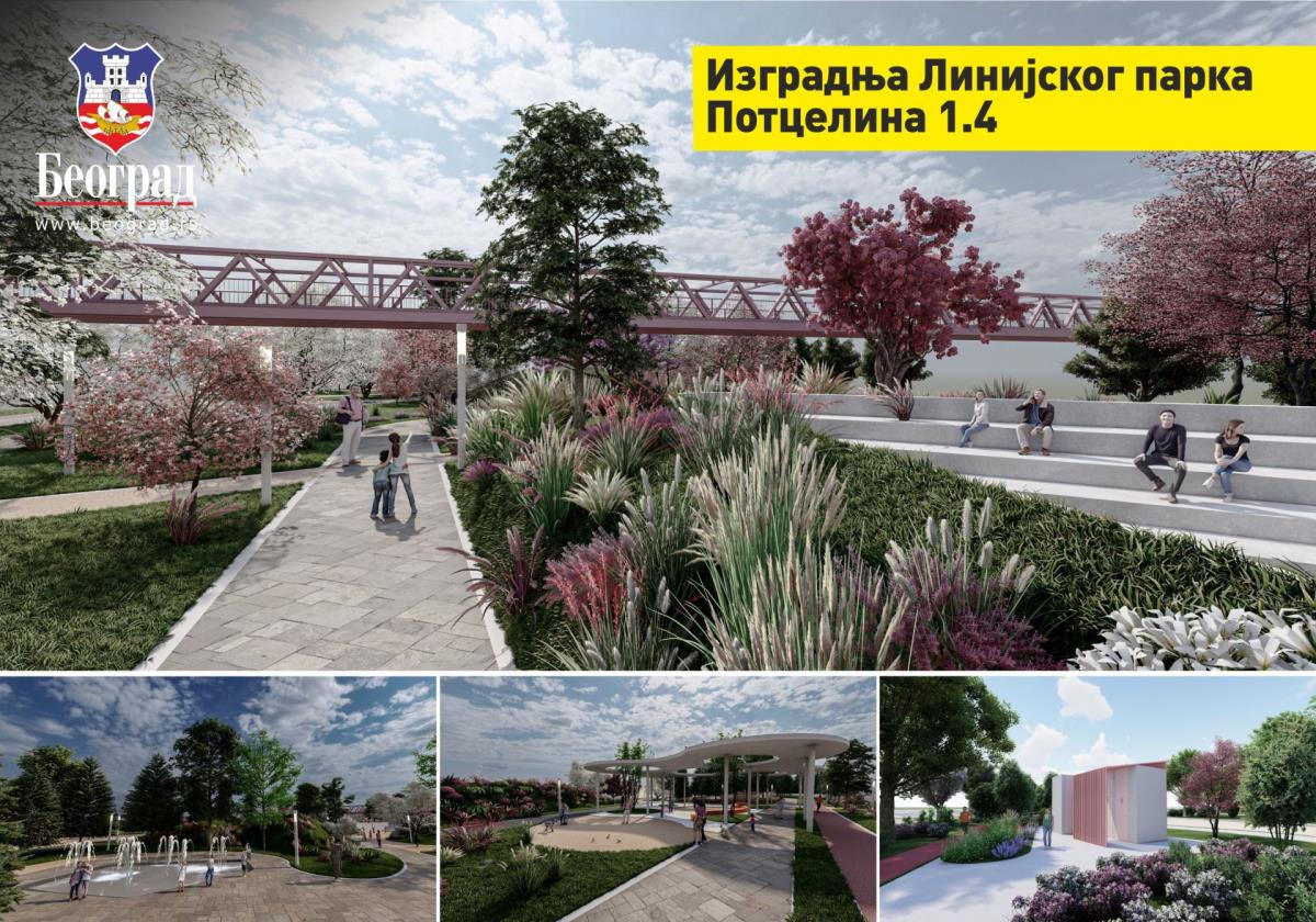 Aleksandar Sapic 9.jpg