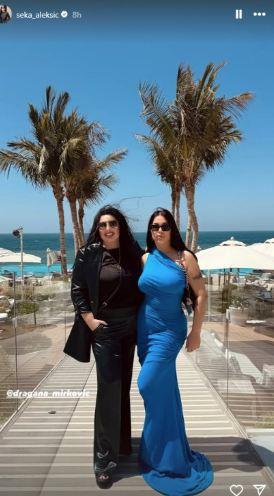 DRAGANA MIRKOVIĆ VOZI AUTO NA VODI