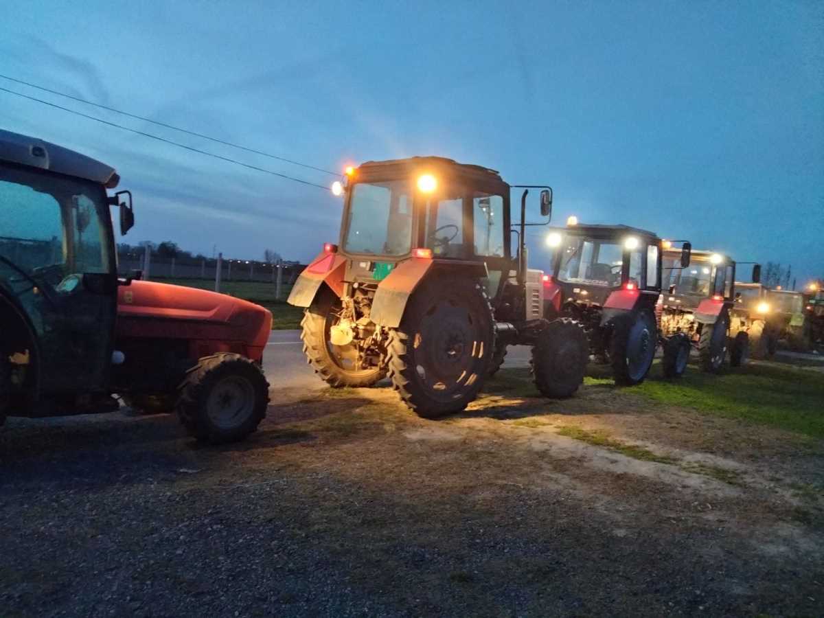 WhatsApp Image 2025-04-10 at 8.00.12 PM (3).jpeg