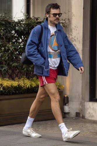 Hari Stajls profimedia-0985797688.jpg