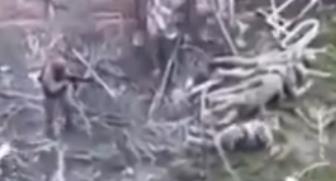 Screenshot 2025-04-11 101725.jpg