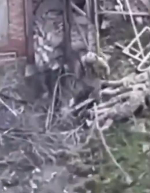 Screenshot 2025-04-11 101630.png