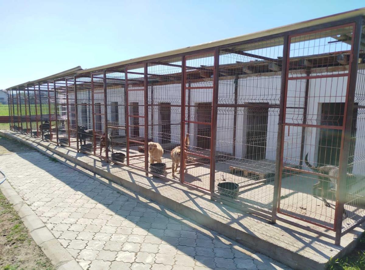 FOTO Uprava za izvršenje krivičnih sankcija, psi u VP Domu.jpg