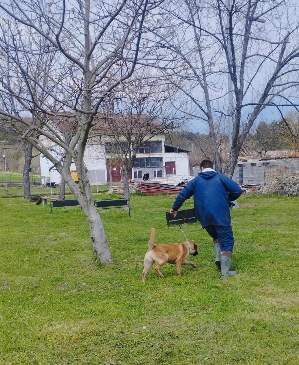 FOTO Uprava za izvršenje krivičnih sankcija, pokazna vežba 3.jpg